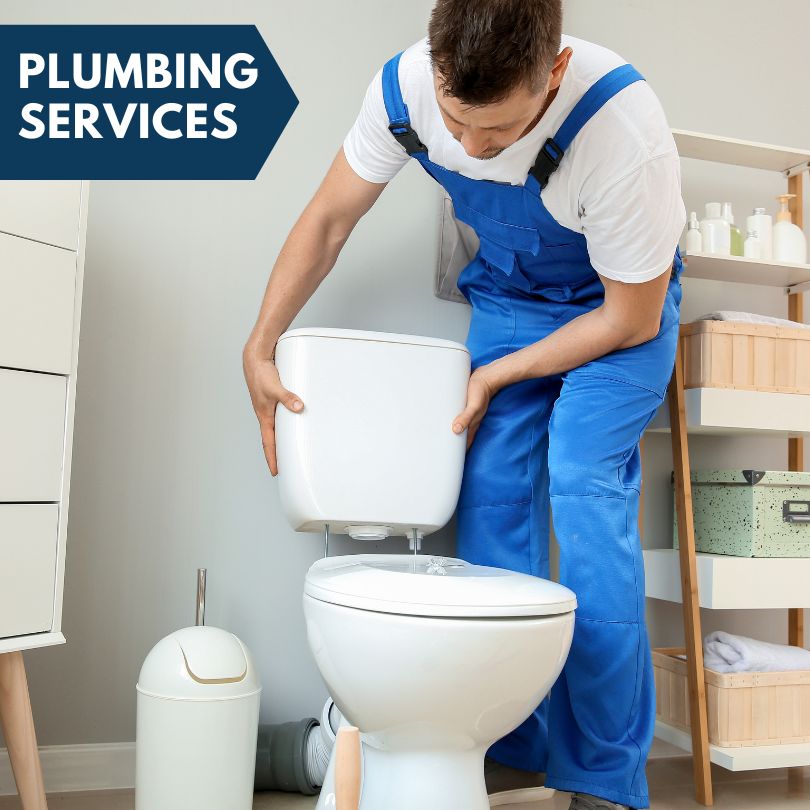 Plumbing Company in Danforth, IL